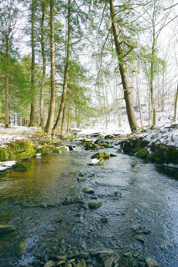 Secluded Streamside Home With Hot Tub Маргаретвілл Екстер'єр фото