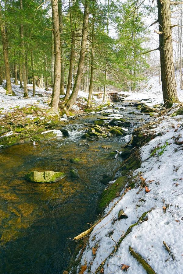 Secluded Streamside Home With Hot Tub Маргаретвілл Екстер'єр фото