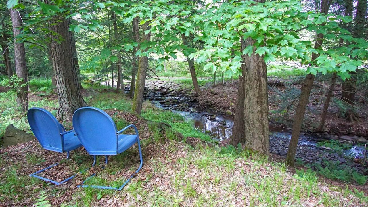 Secluded Streamside Home With Hot Tub Маргаретвілл Екстер'єр фото