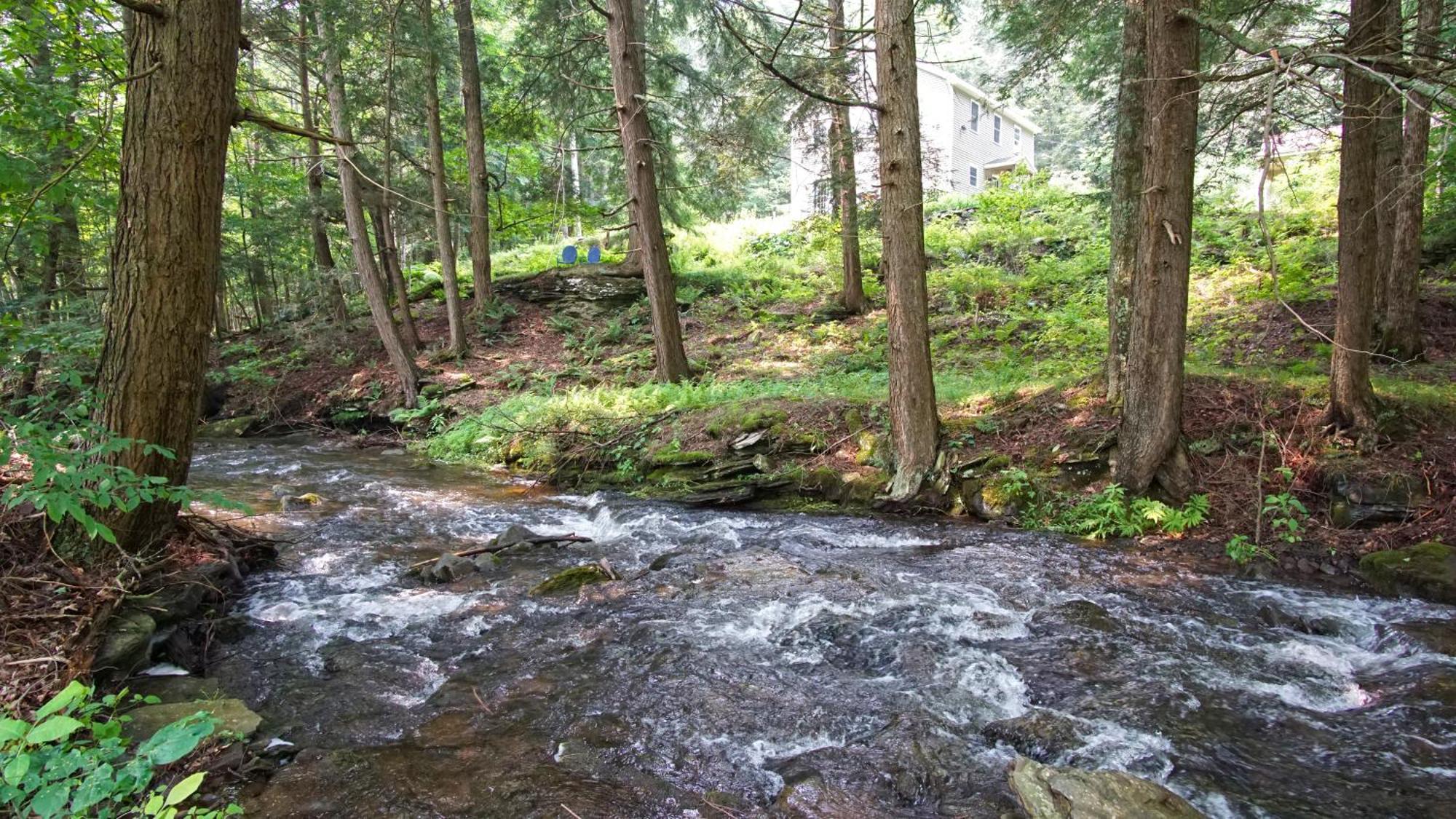 Secluded Streamside Home With Hot Tub Маргаретвілл Екстер'єр фото